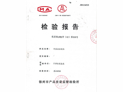 安全鎖檢查報(bào)告